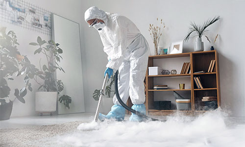 disinfecrtion cleaning