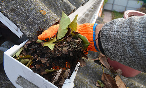 Gutter cleaning