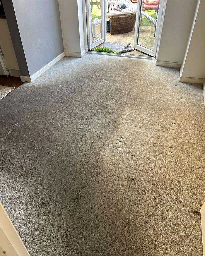 Bristol Carpet Cleaning