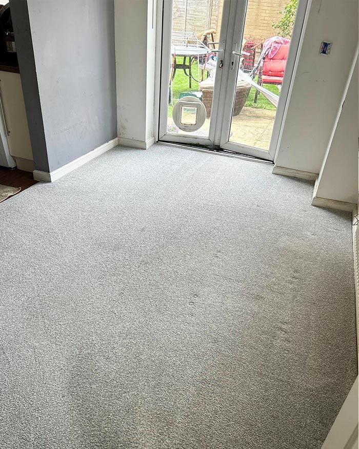 Bristol carpet cleaning after